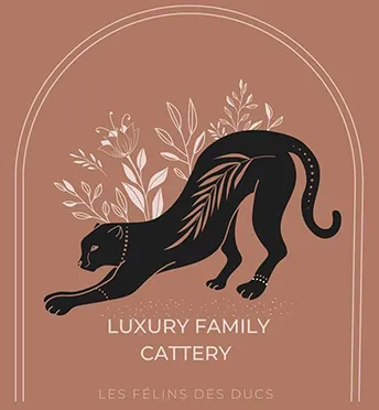 Luxury Family